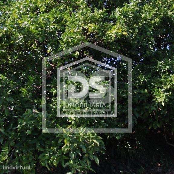 Terreno  Venda em Vila Boa de Quires e Maureles,Marco de Canaveses - Grande imagem: 4/9