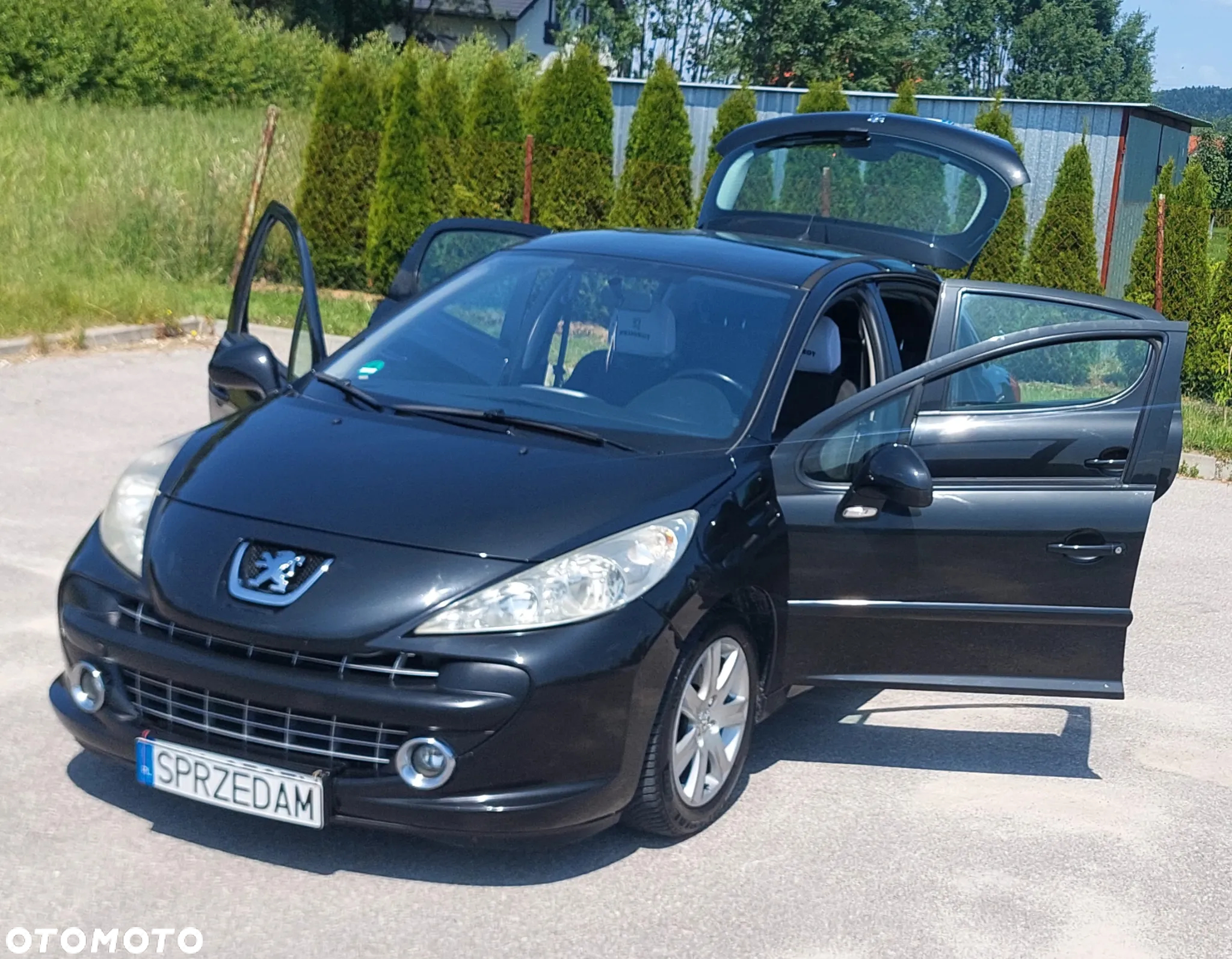 Peugeot 207 1.6 16V Sporty - 10
