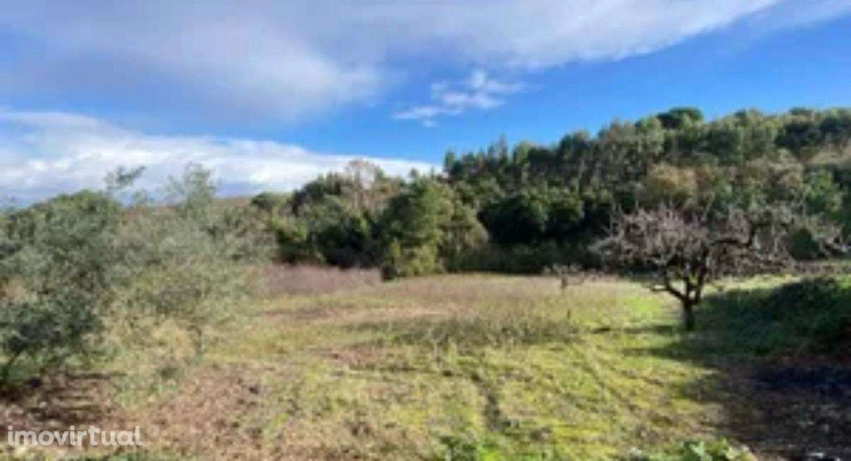 Terreno com 6.000 m² + Construção Existente | Vale da Jorra | Santarém - Grande imagem: 2/4