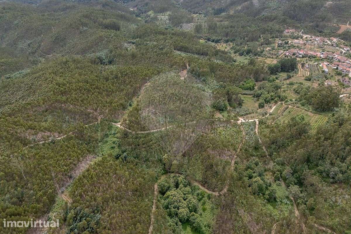Terreno  para venda - Grande imagem: 2/14