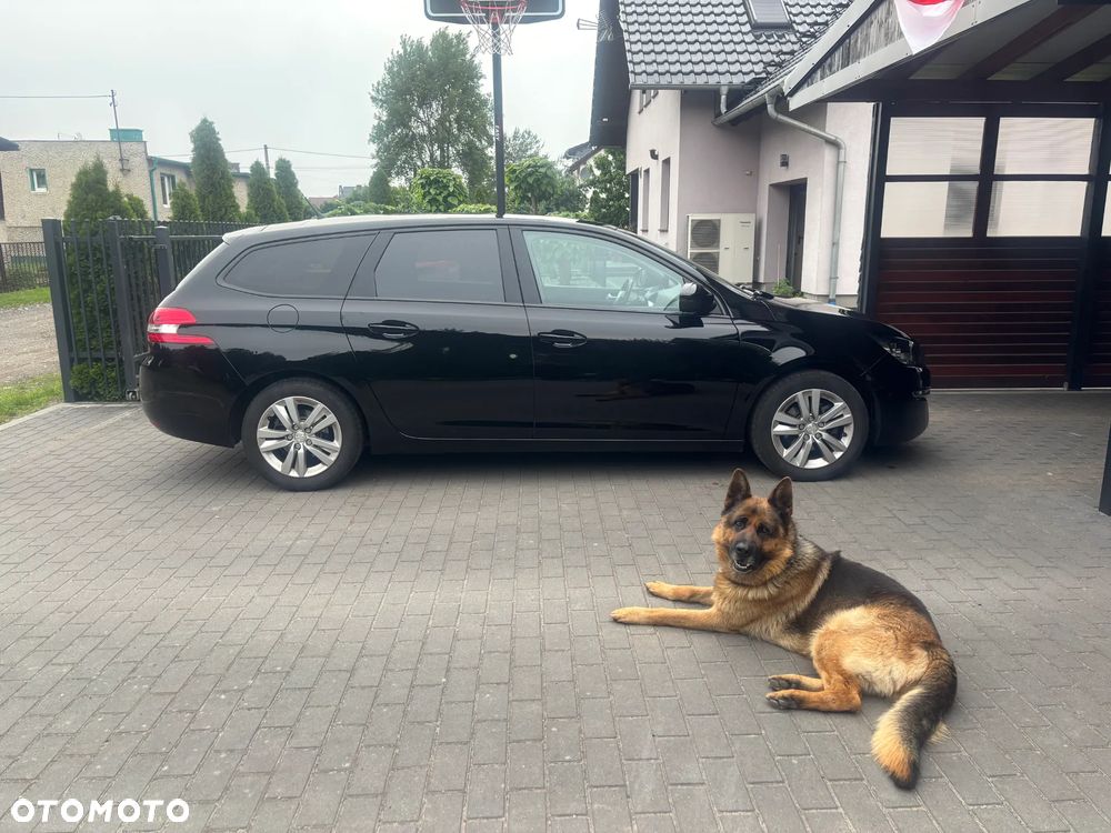 Peugeot 308 1.6 BlueHDi Active S&S - 11