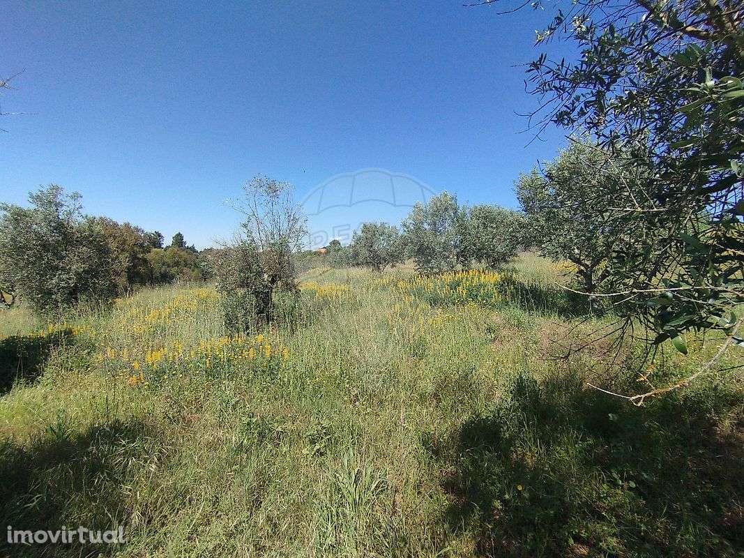 Terreno  para venda - Grande imagem: 2/3