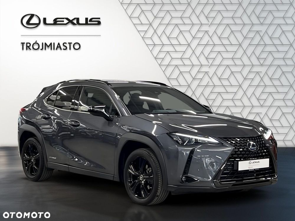 Lexus UX - 7