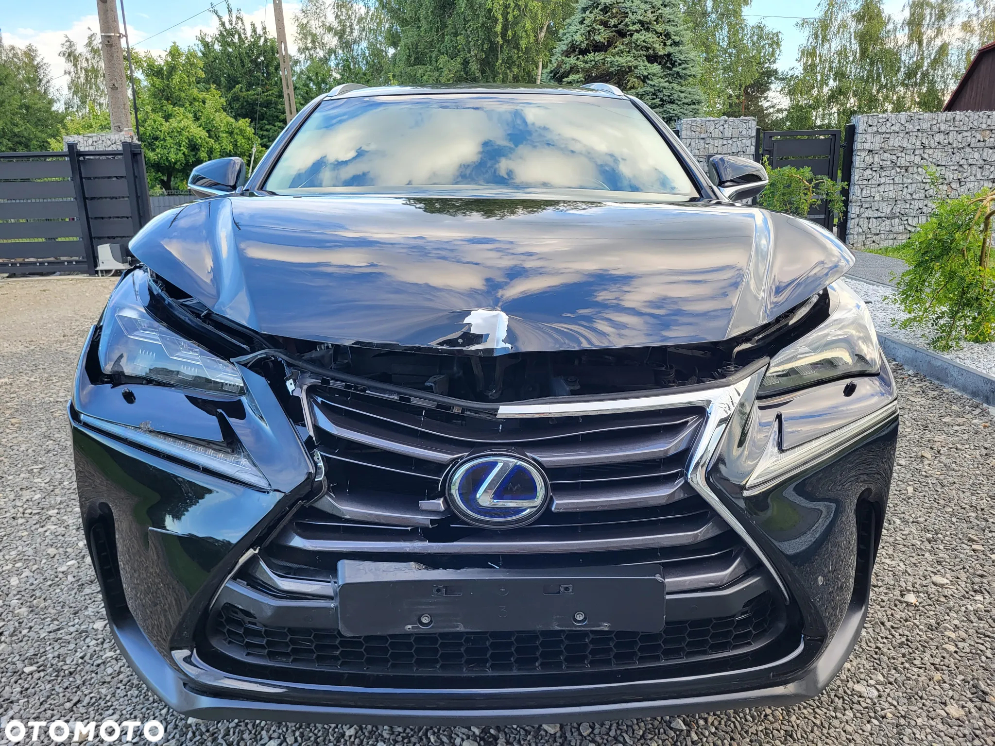Lexus NX 300h Business Edition - 4