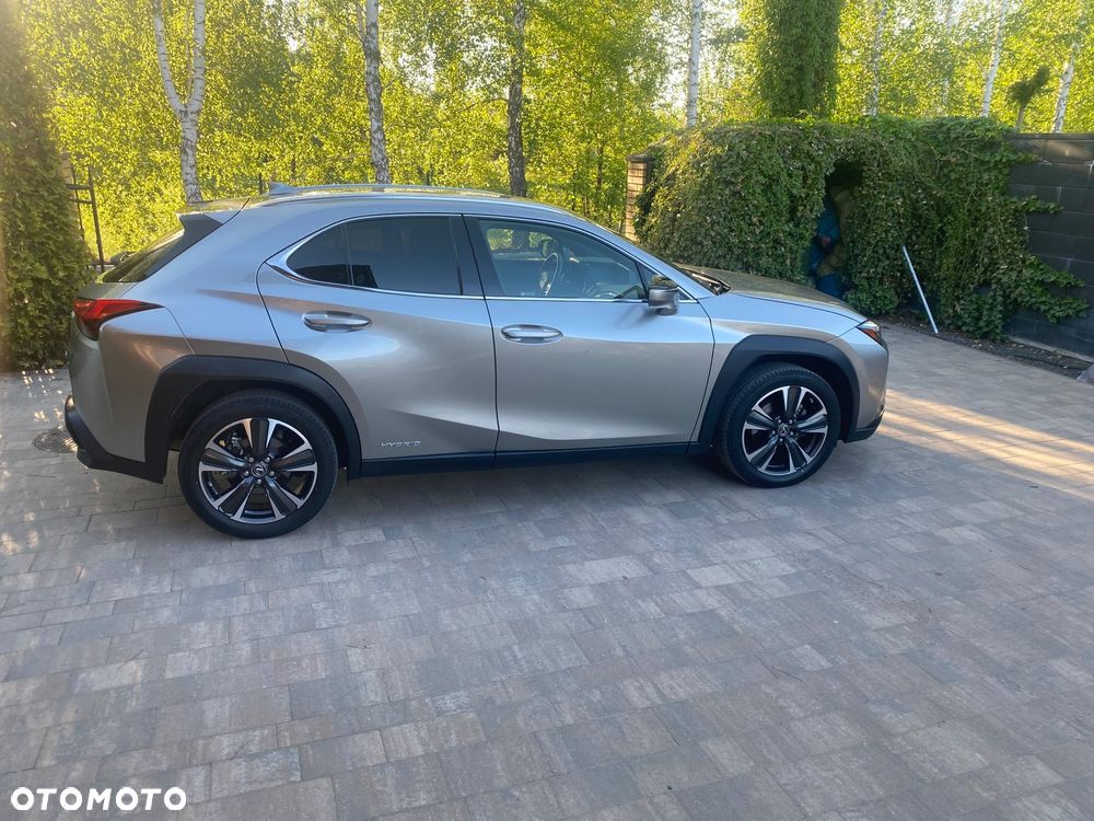 Lexus UX 250h GPF Business Edition 2WD - 8