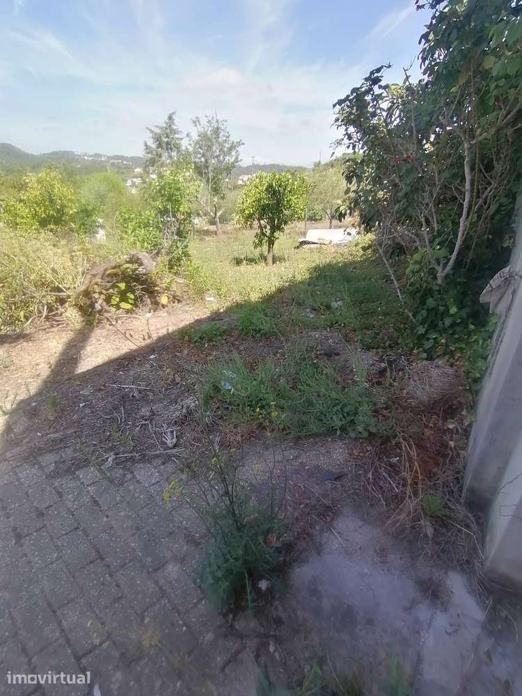 Moradia Isolada T3 + T5 com Terreno | Almalaguês – Coimbra - Grande imagem: 5/5