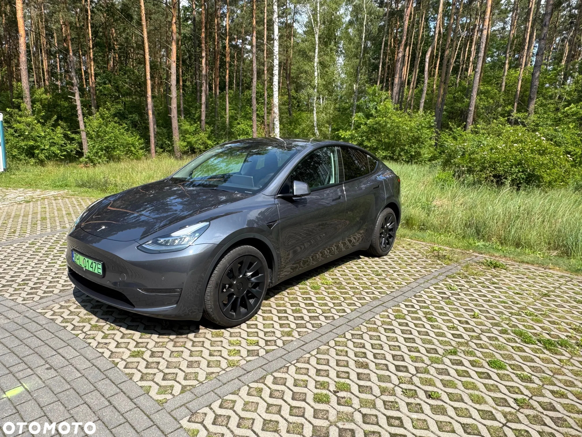 Tesla Y Model Long Range Dual Motor AWD - 3