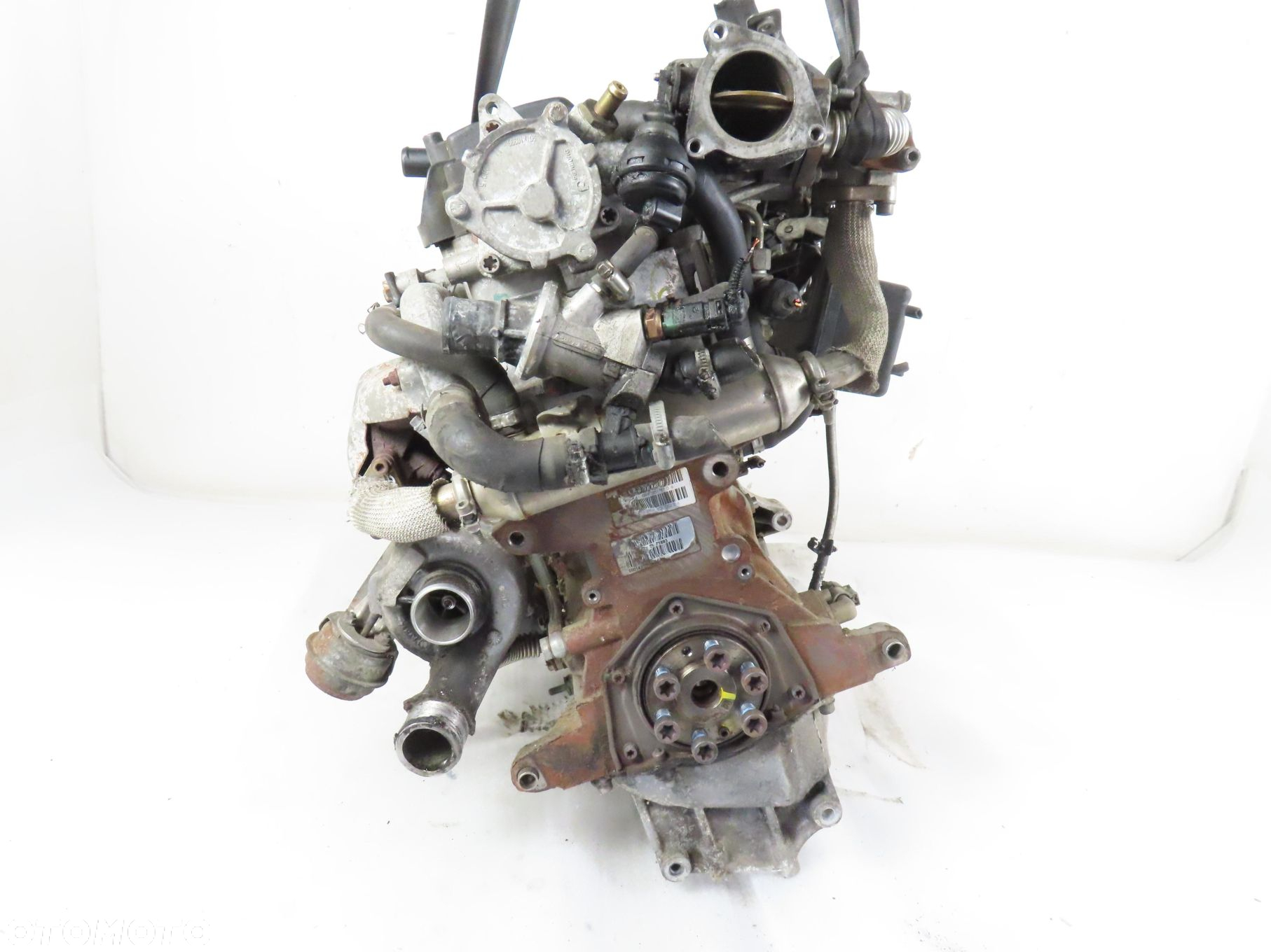 SILNIK FIAT BRAVO II 1.9 D Multijet 192A8000 - 7