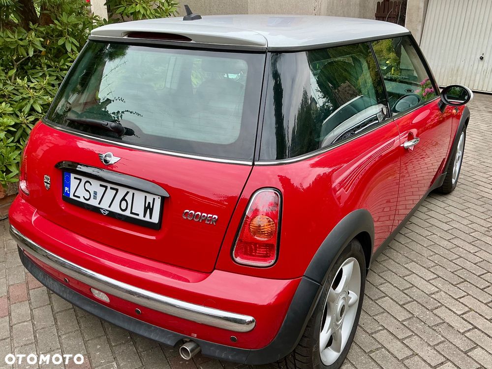MINI Cooper chili - 5