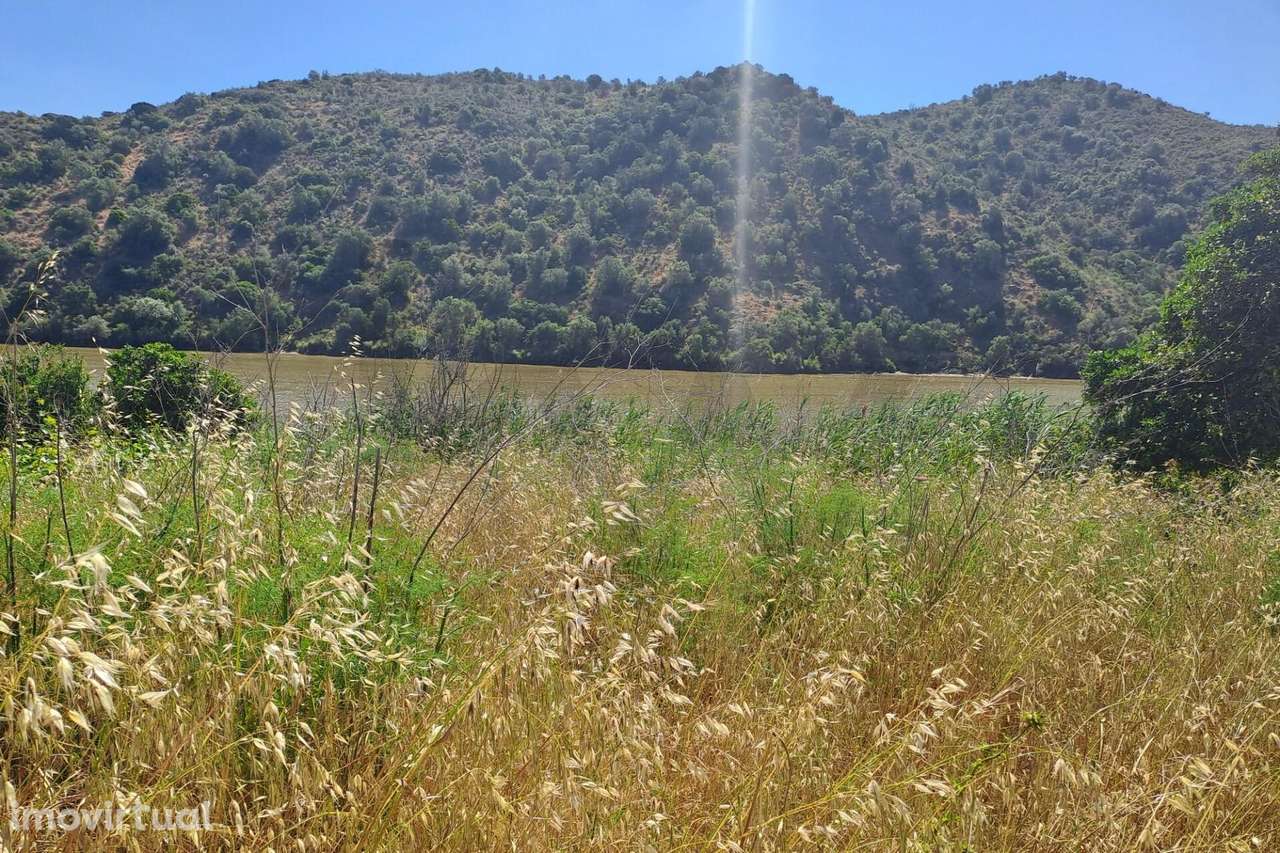 Terreno Rústico com 1540m2 perto de Alcoutim. - Grande imagem: 2/6
