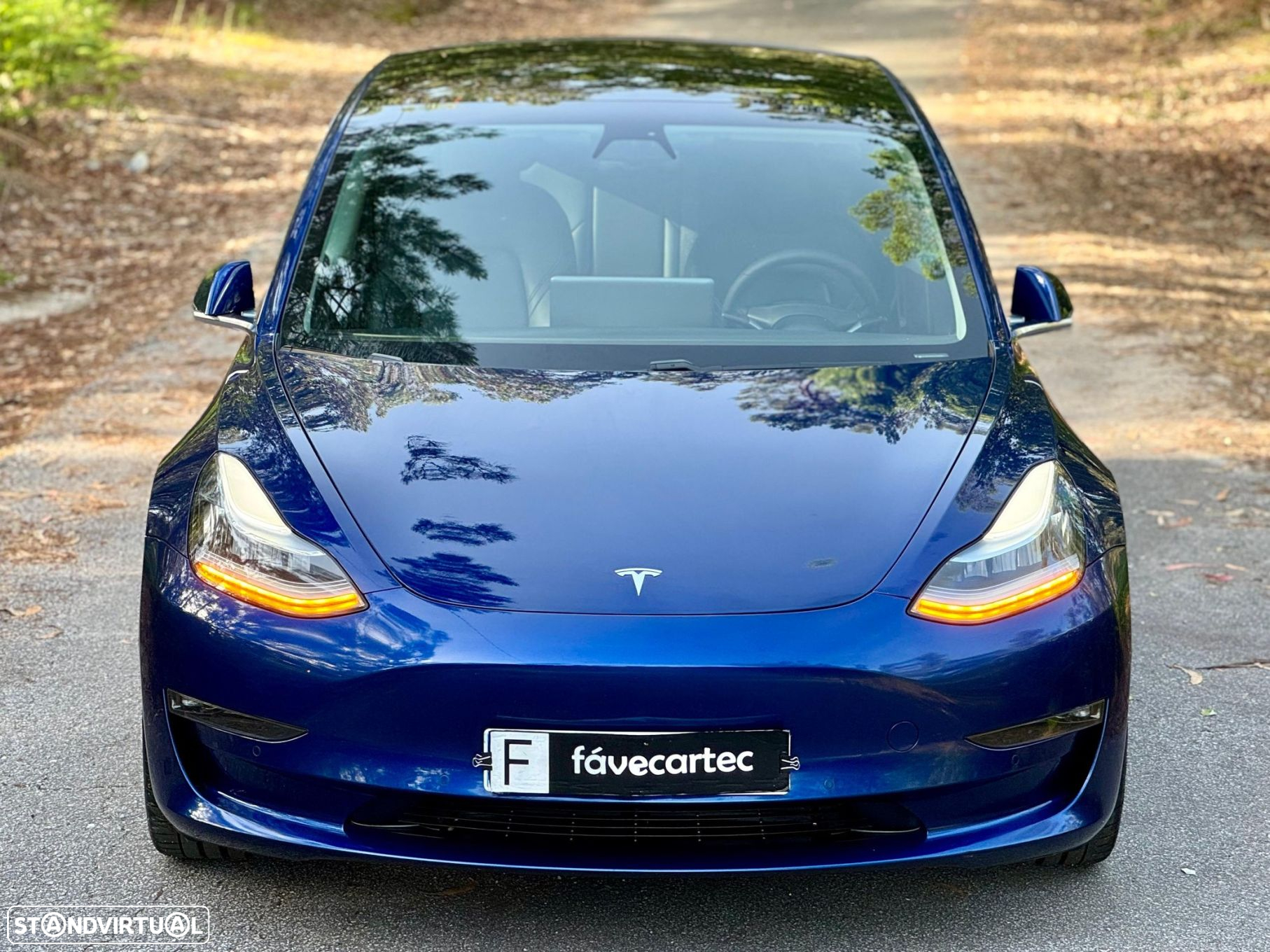 Tesla Model 3 Performance Dual Motor AWD - 16