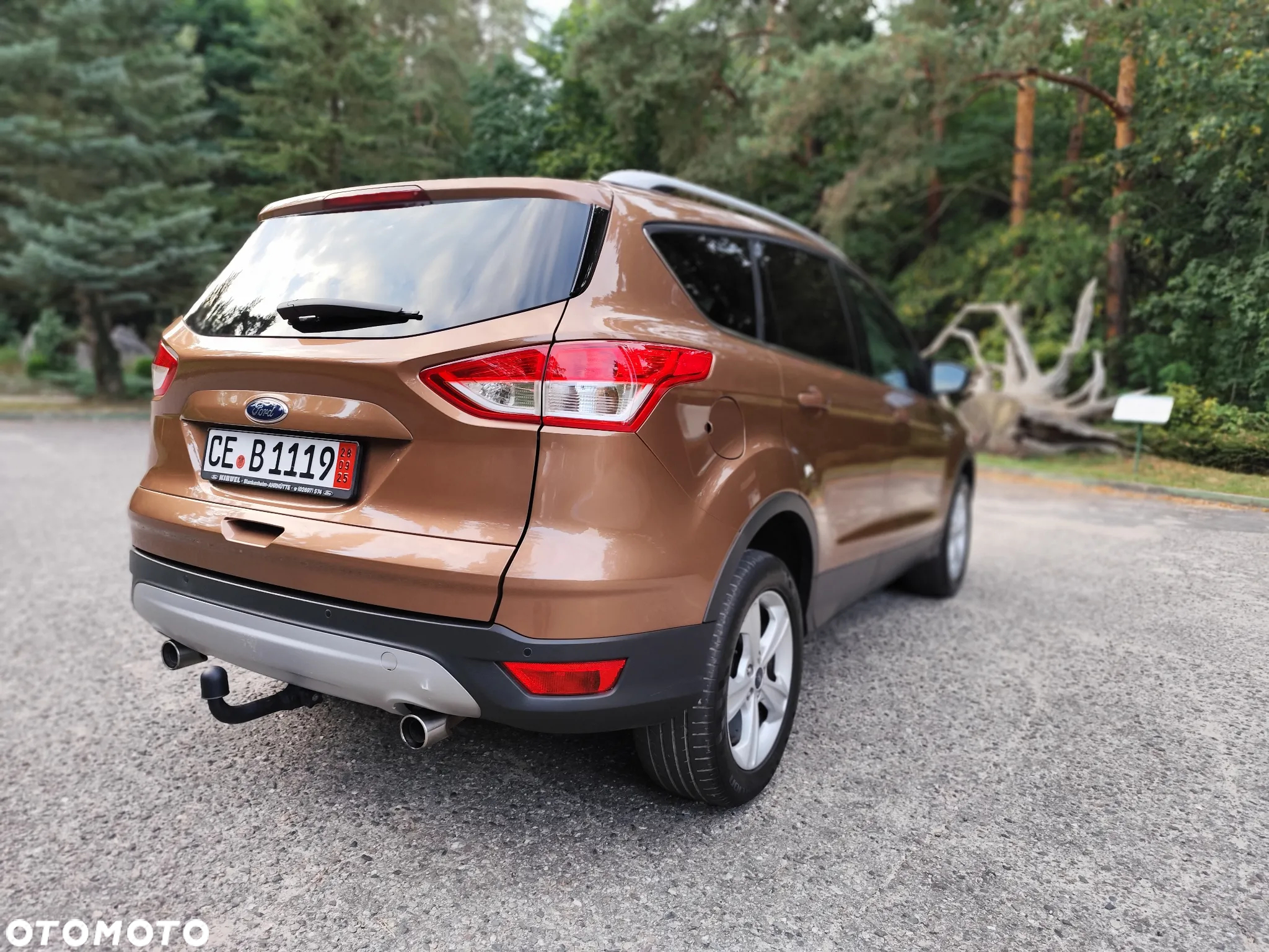 Ford Kuga 2.0 TDCi 4x4 Trend - 10