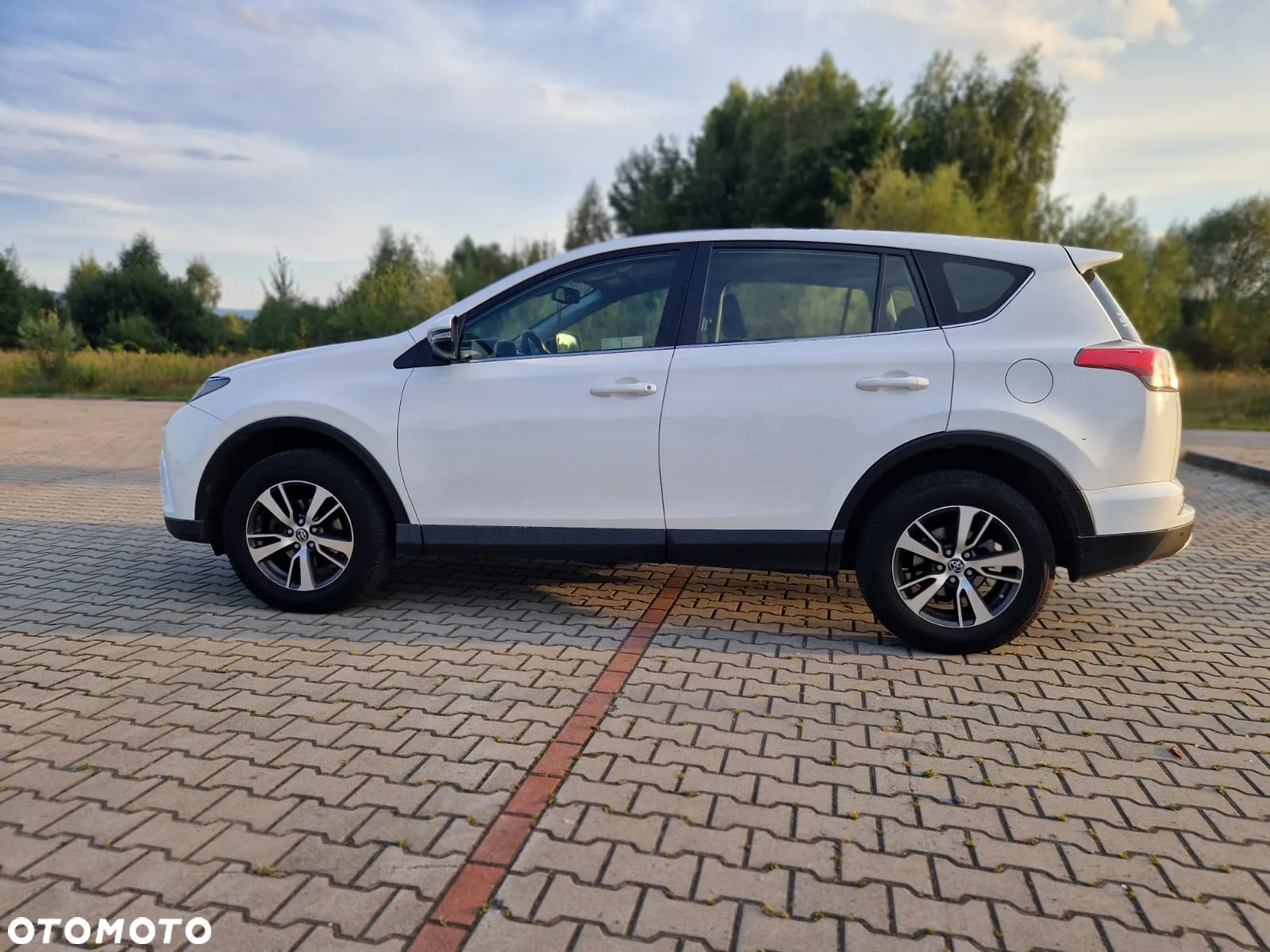 Toyota RAV4 2.0 Prestige 4x4 MS - 4