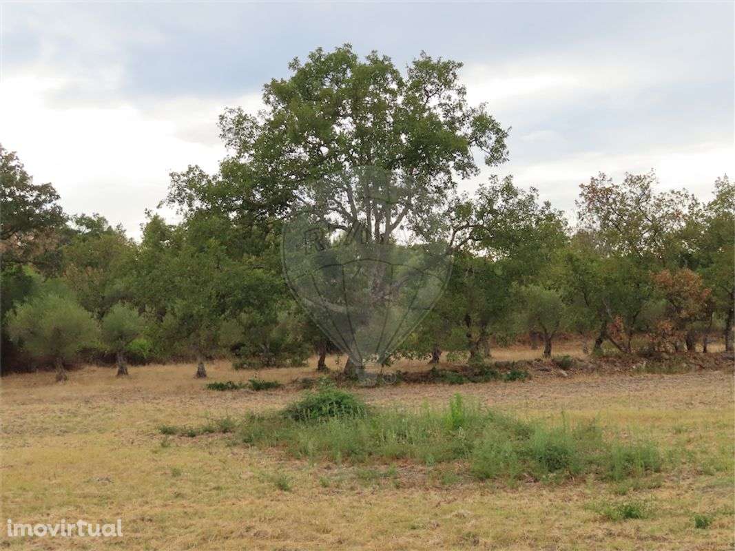 Quinta  para venda - Grande imagem: 3/18