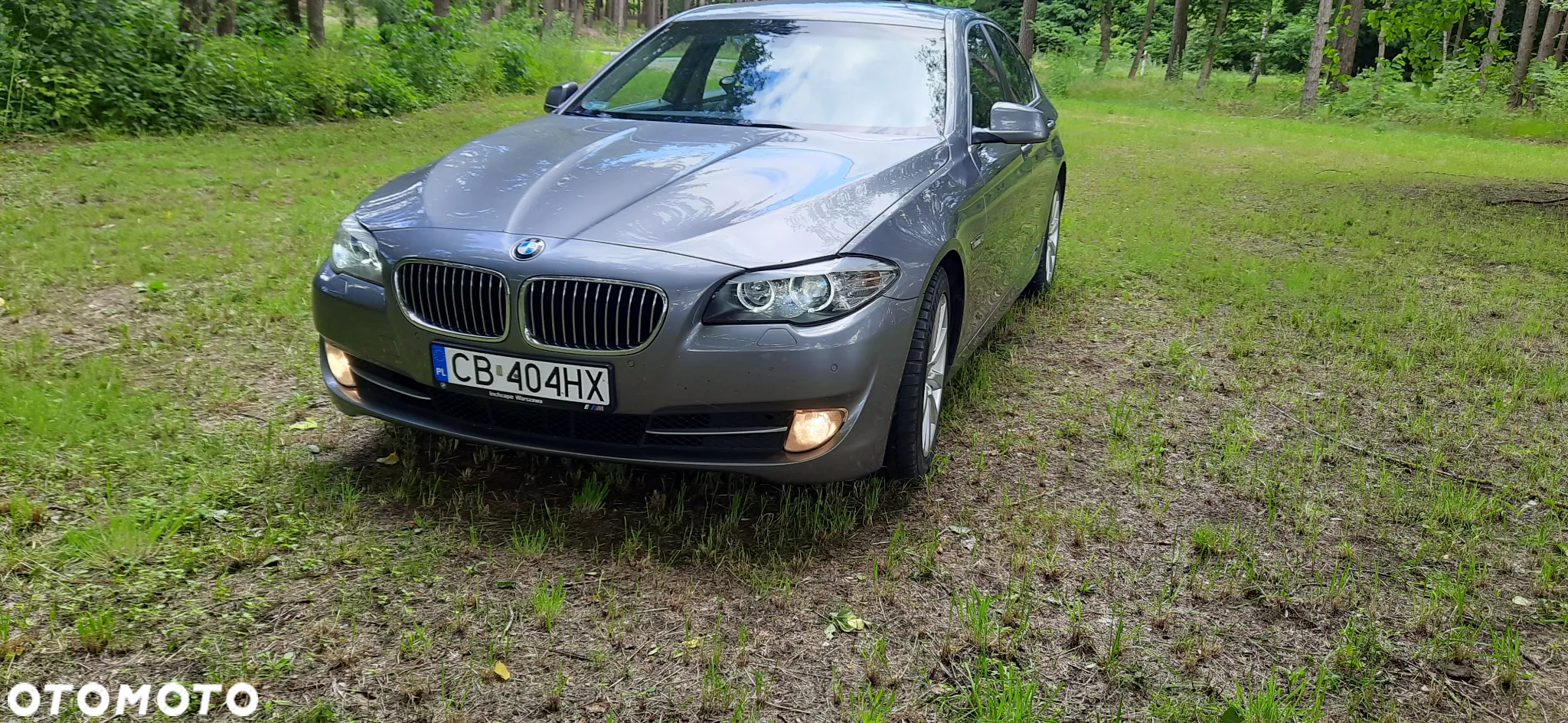 BMW Seria 5 520d - 2
