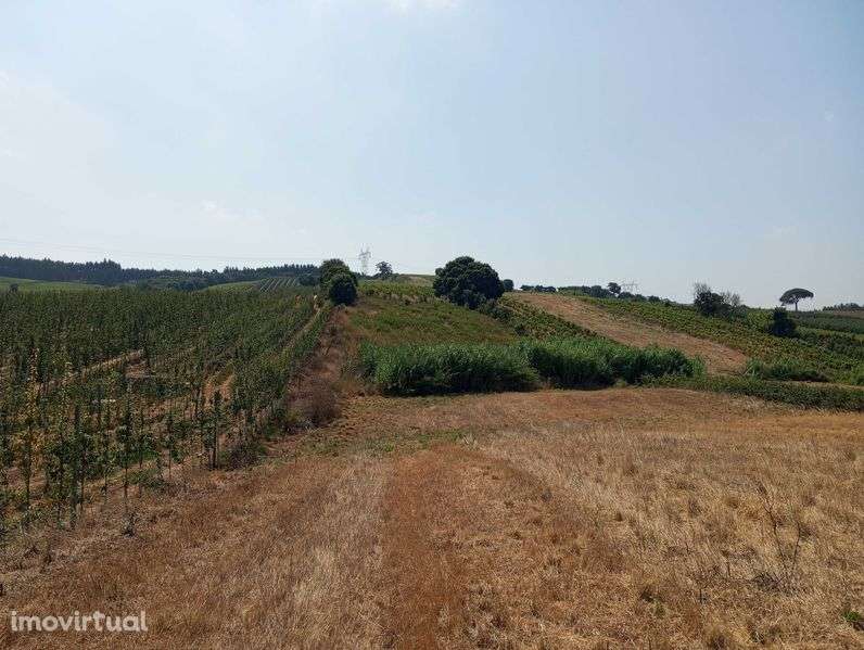 Terreno agrícola - Grande imagem: 3/6