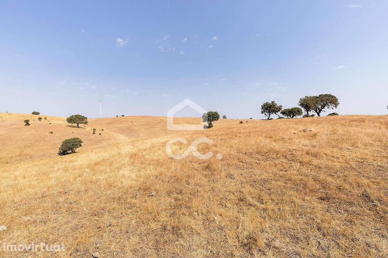 Terreno Rústico de 2,725 ha c/ Pequena Nascente para Exploração Agríco - Grande imagem: 5/16
