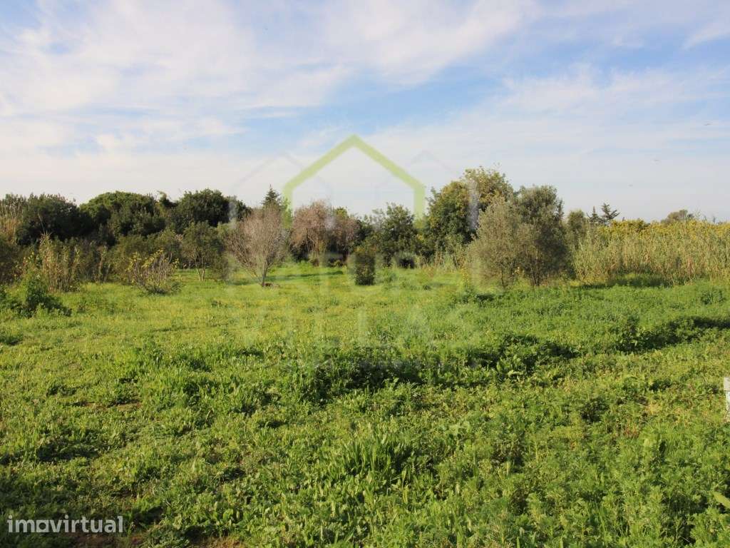 Serenidade Verde: Terreno com Vista Panorâmica em Mata Lobos, Faro - Grande imagem: 5/8