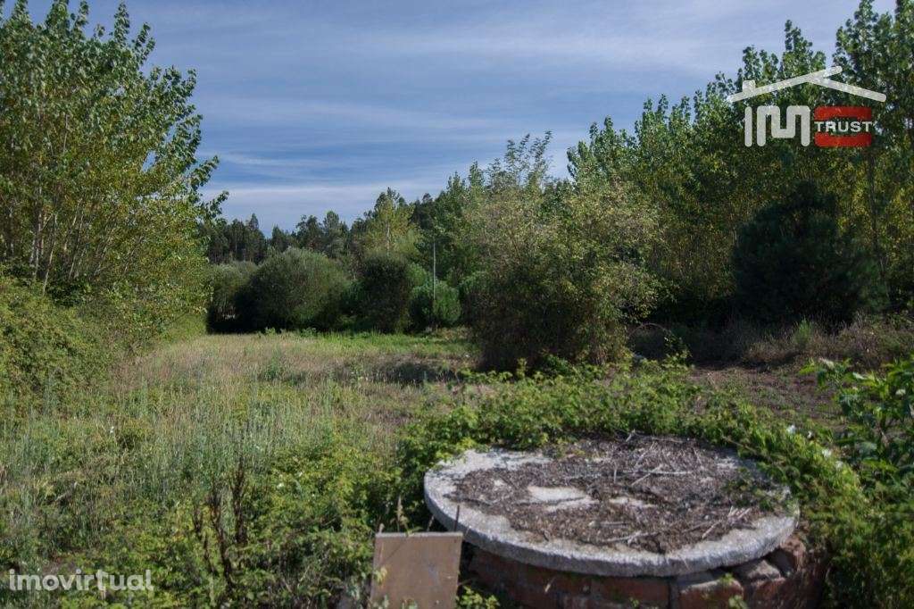 Terreno com 550 m2 Carvalhinho Albergaria dos Doze - Grande imagem: 2/6