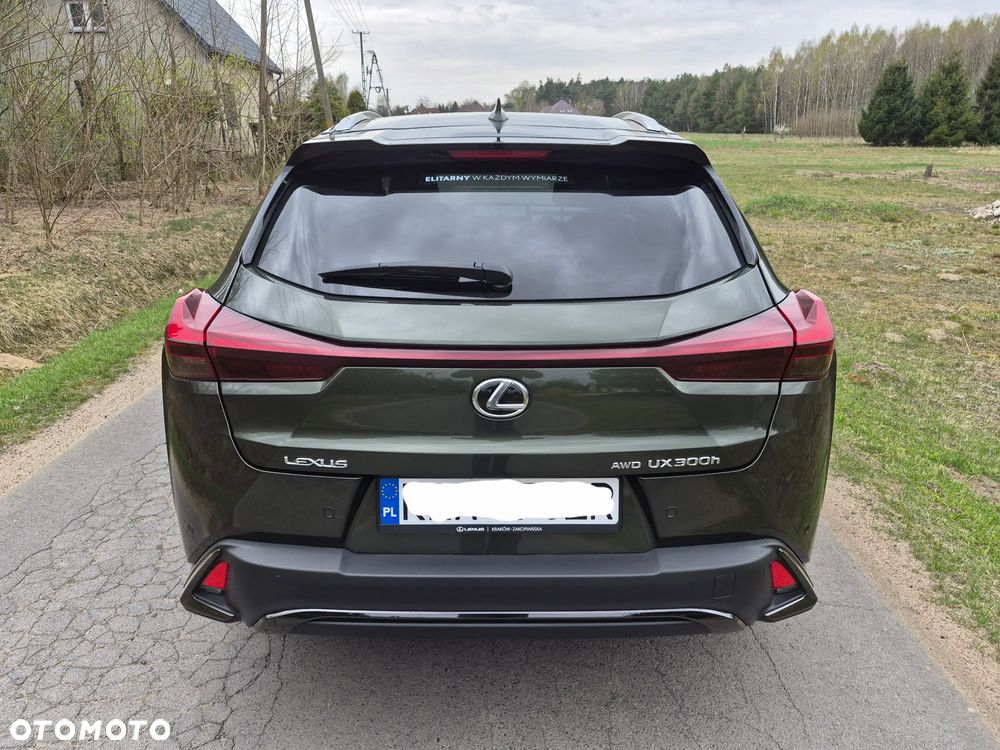 Lexus UX 300h F Sport Design AWD - 3