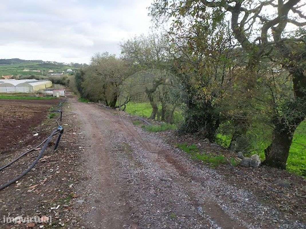 Terreno  para venda - Grande imagem: 5/9