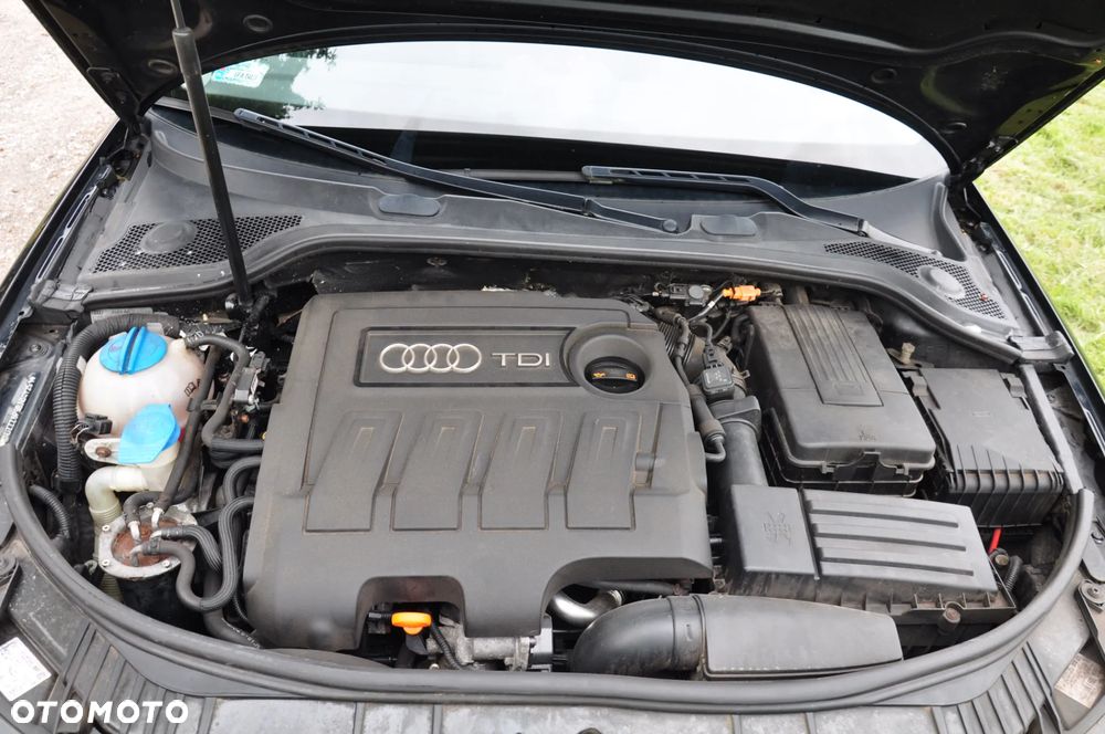 Audi A3 Sportback 1.6 TDI 102g DPF - 7
