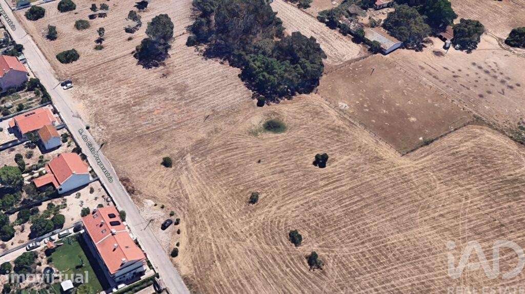 Terreno Agrícola em Montijo e Afonsoeiro - Grande imagem: 3/7