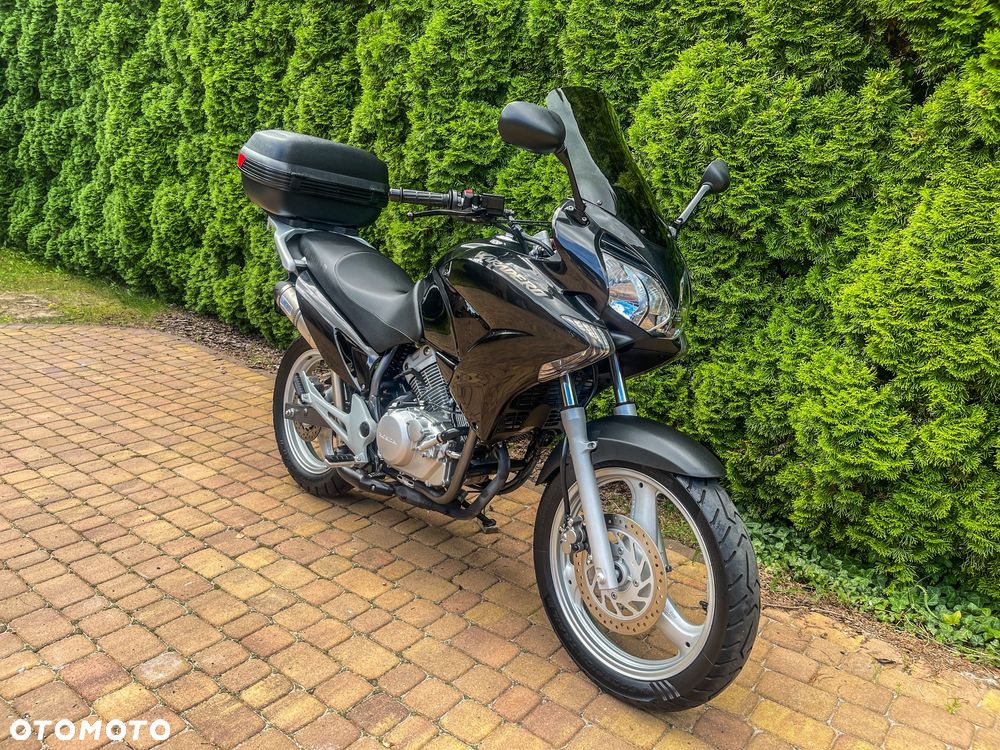 Honda Varadero - 3