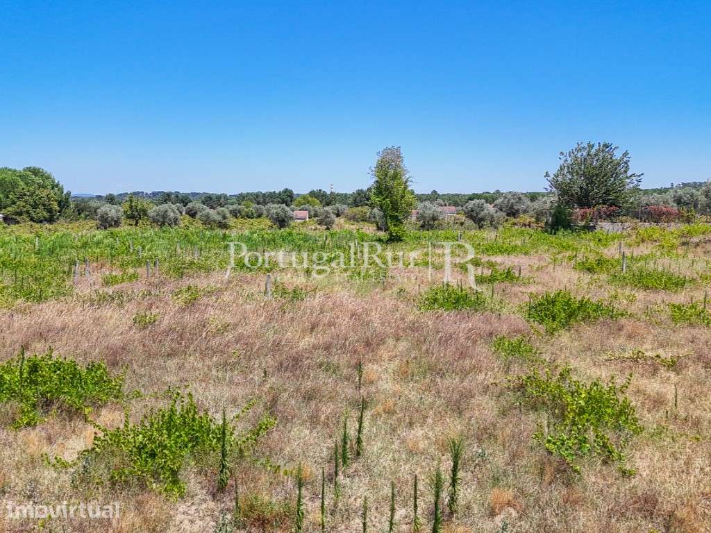 Terreno Agrícola com Viabilidade de Construção - Grande imagem: 4/8