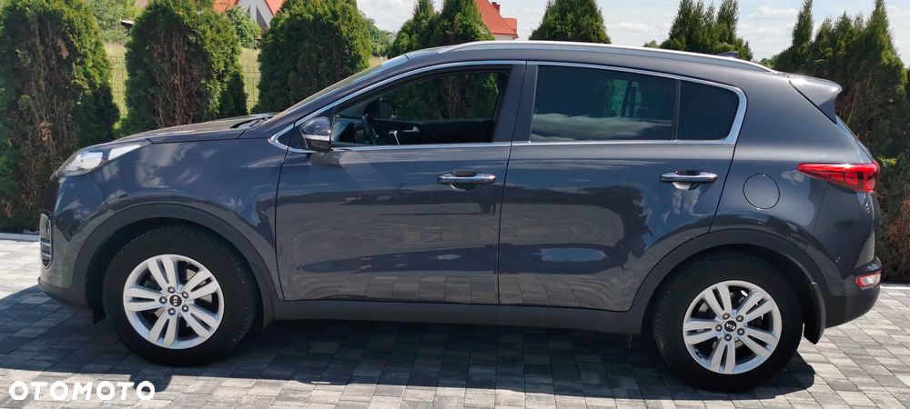 Kia Sportage - 29