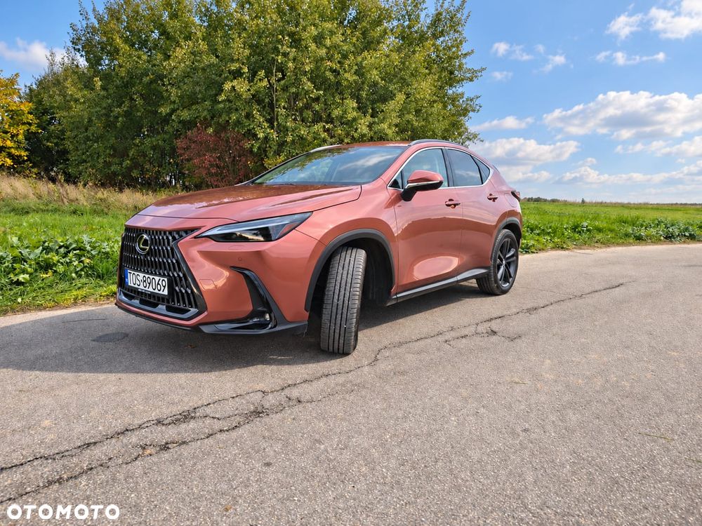 Lexus NX - 4