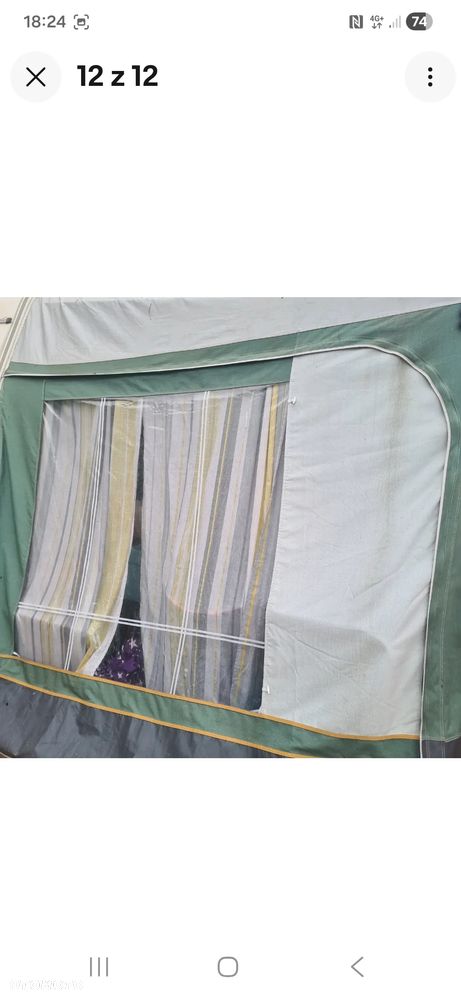 Bailey Pageant Majestic - 39