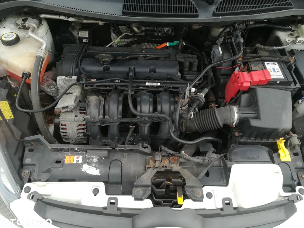 Ford Fiesta 1.25 Champions Edition - 15