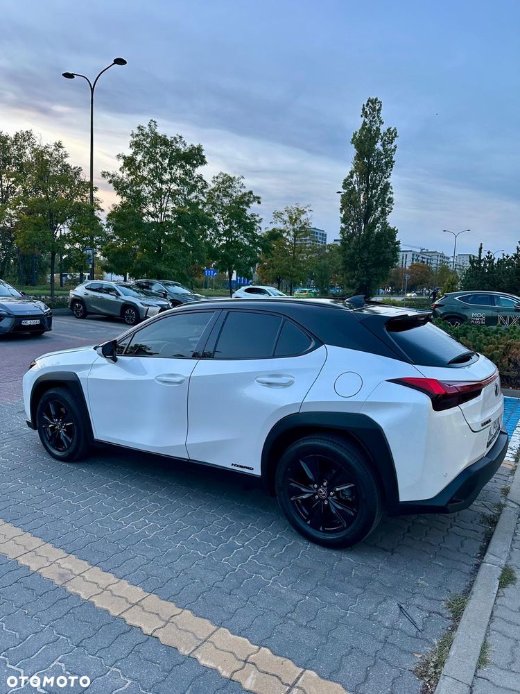 Lexus UX 250h - 17