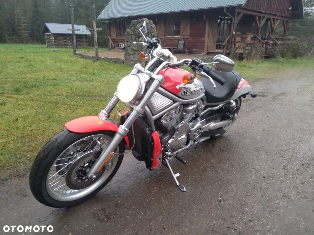 Harley-Davidson Softail V-Rod - 15