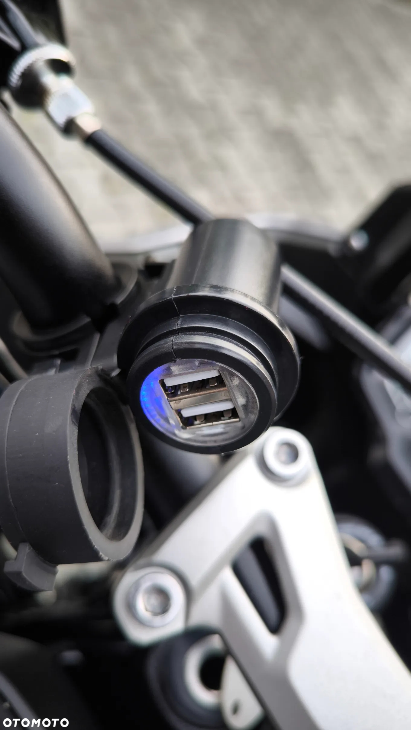 Triumph Tiger - 29