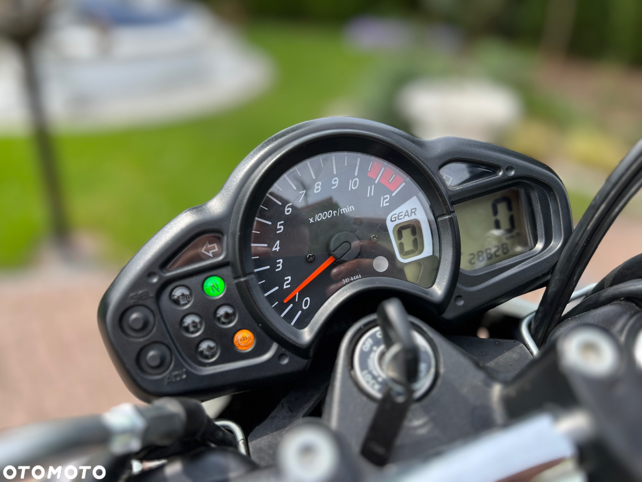 Suzuki Gladius - 34
