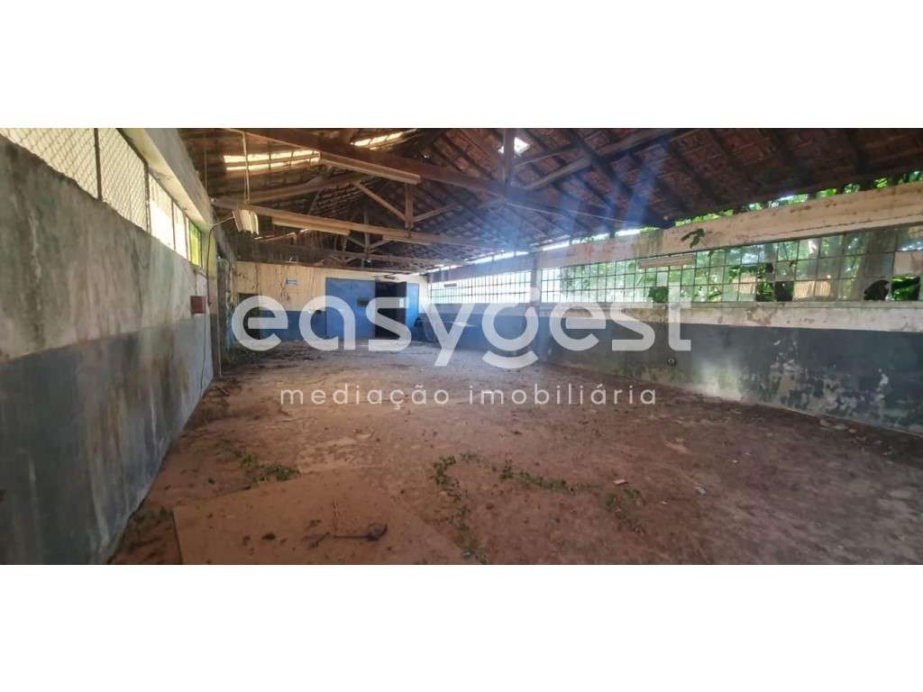 Lotes Industriais para reabilitar ou possibilidade Construção Altura - Grande imagem: 4/15