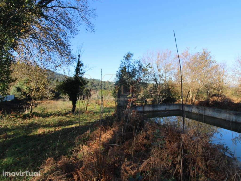 Terreno - Grande imagem: 4/13