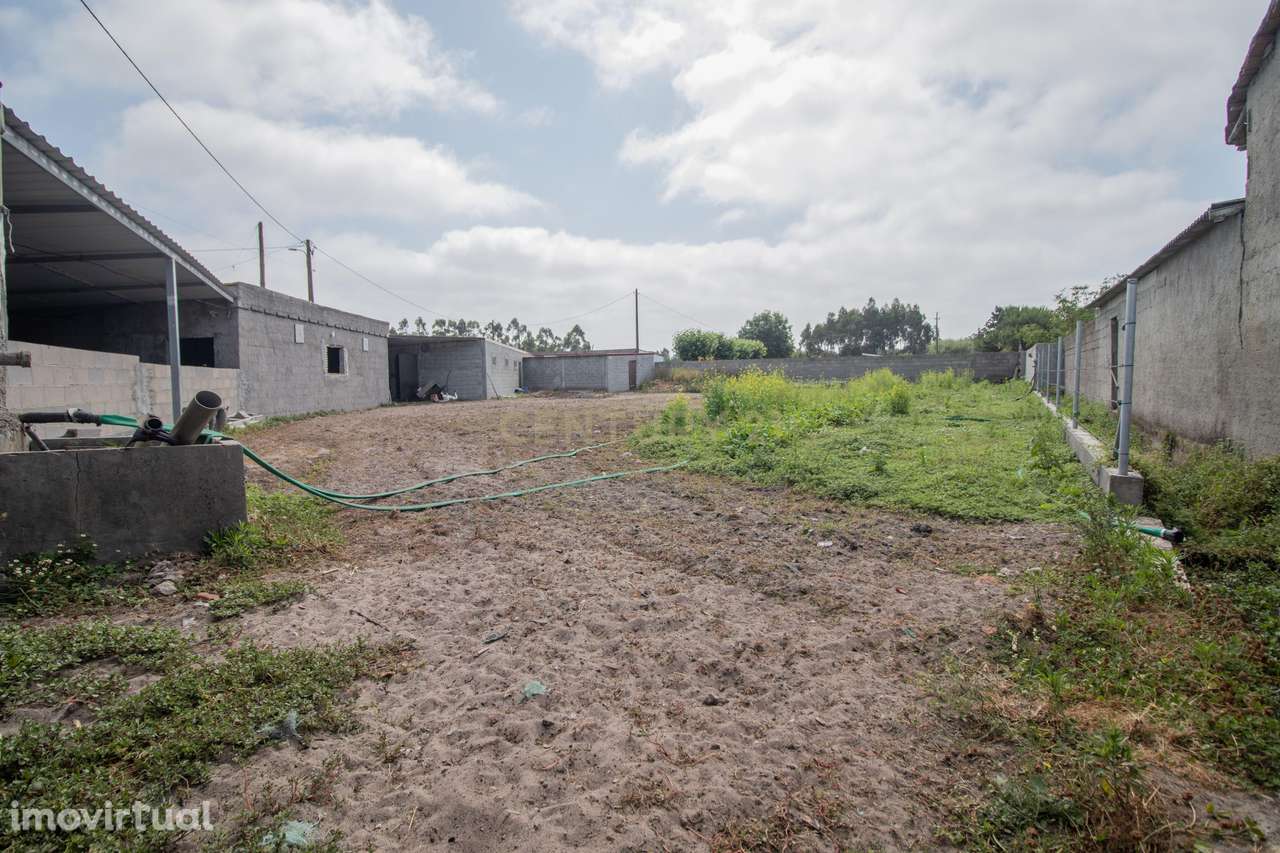 Terreno Caniceira, Tocha - Grande imagem: 4/5