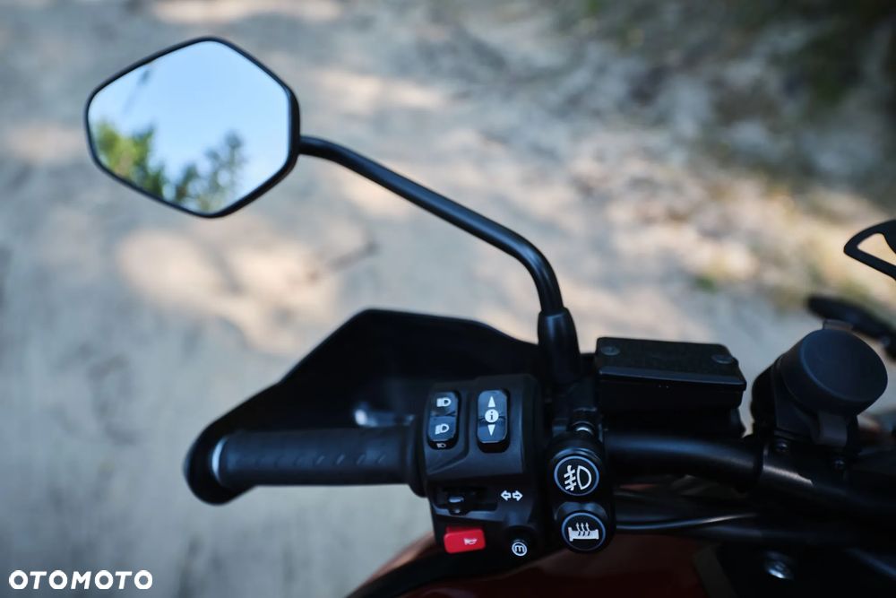 Triumph Tiger - 14