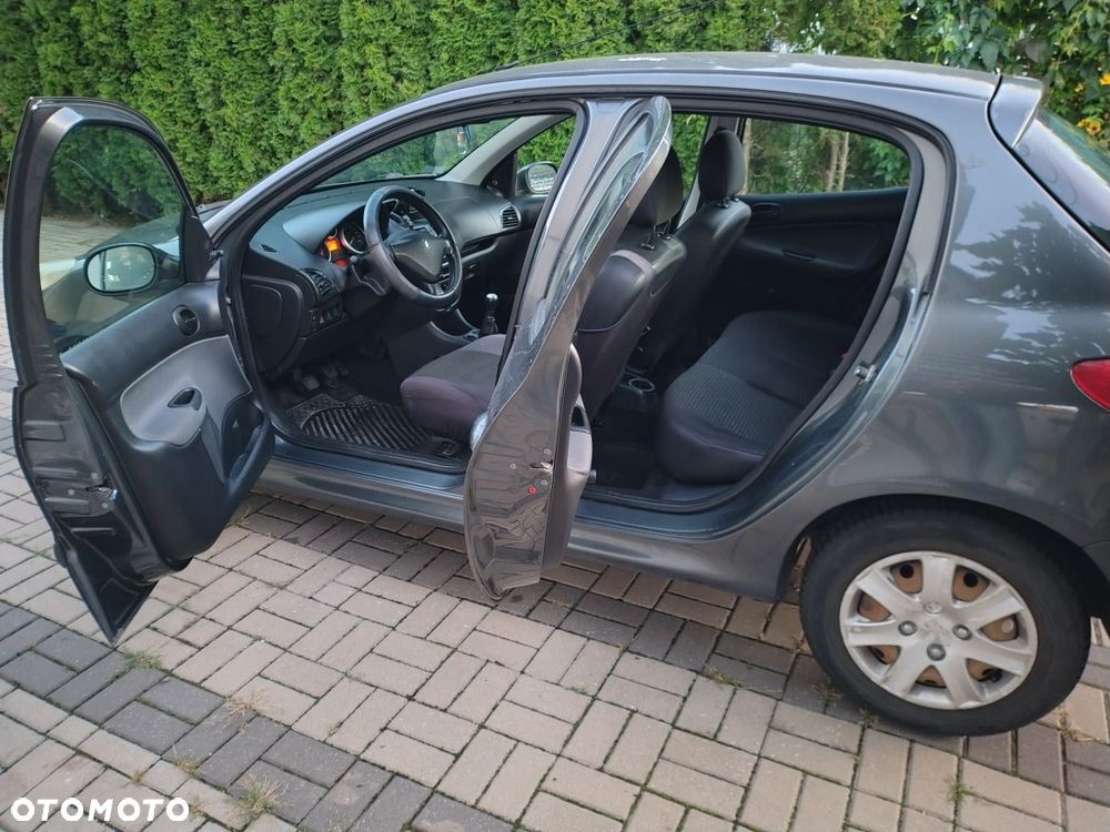 Peugeot 206 plus - 6