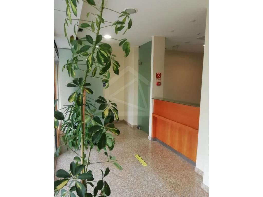 Loja em Lordelo do Ouro, Porto - Grande imagem: 2/14