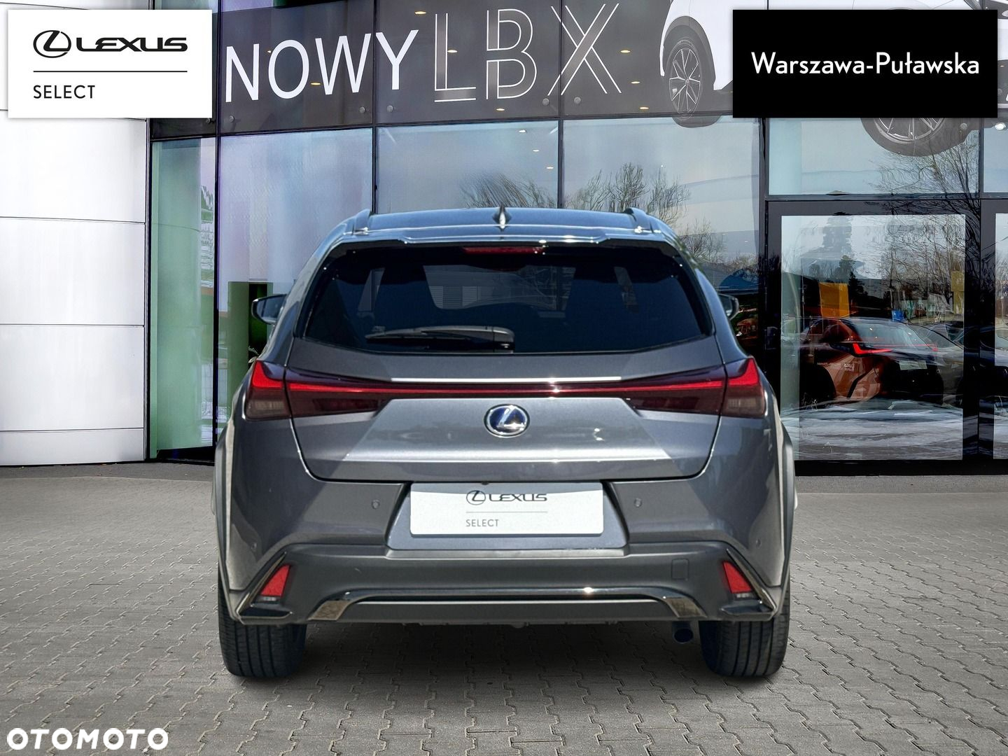 Lexus UX 250h GPF F Sport Edition 2WD - 7