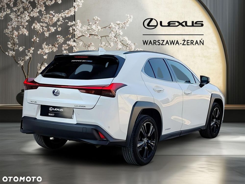 Lexus UX 250h GPF F Impression 2WD - 7