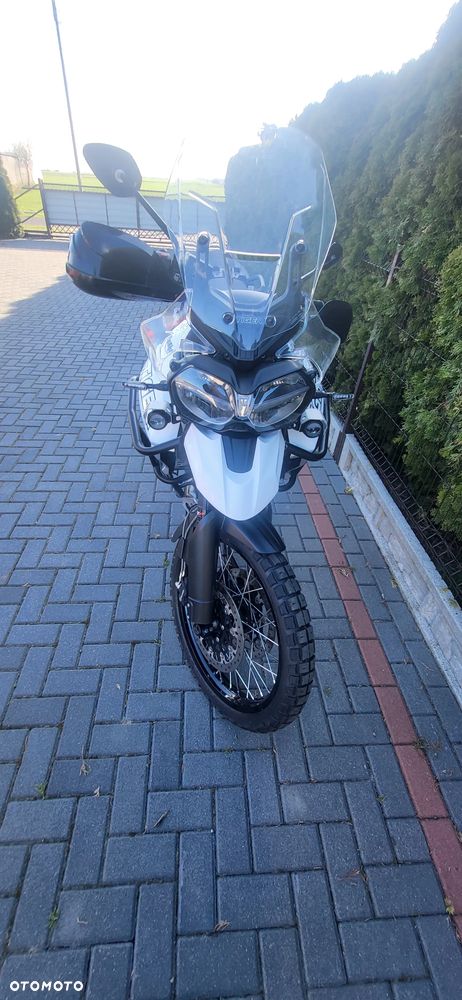 Triumph Tiger - 10