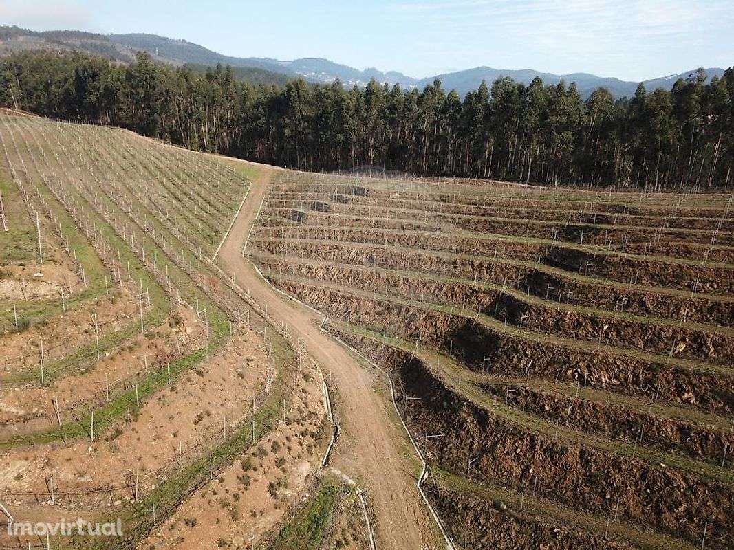 Quinta  para venda - Grande imagem: 5/9