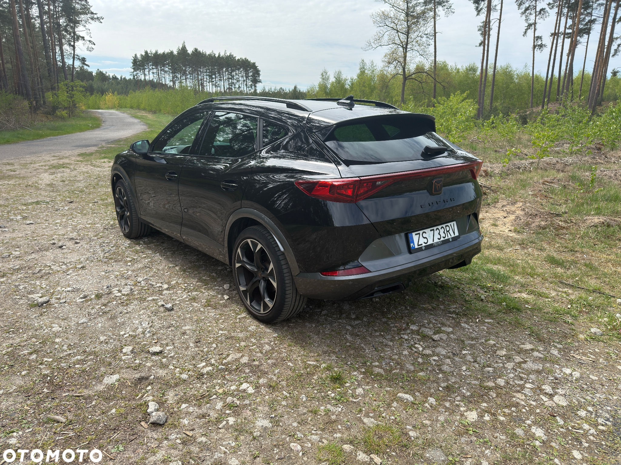 Cupra Formentor 1.5 TSI DSG - 4