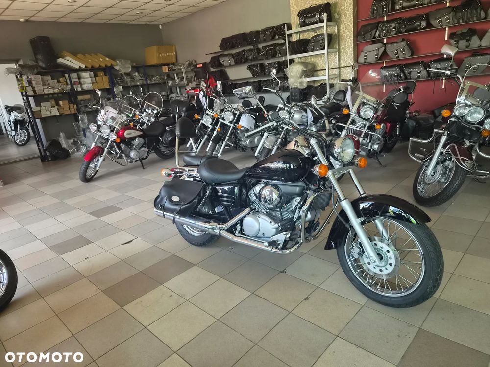 Honda Shadow - 19