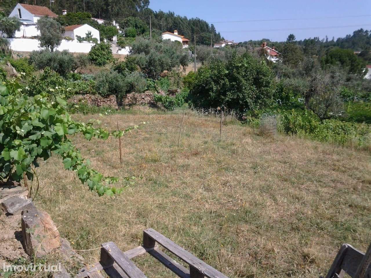 Ruína com Potencial em Sardoal, Santarém - Grande imagem: 2/16